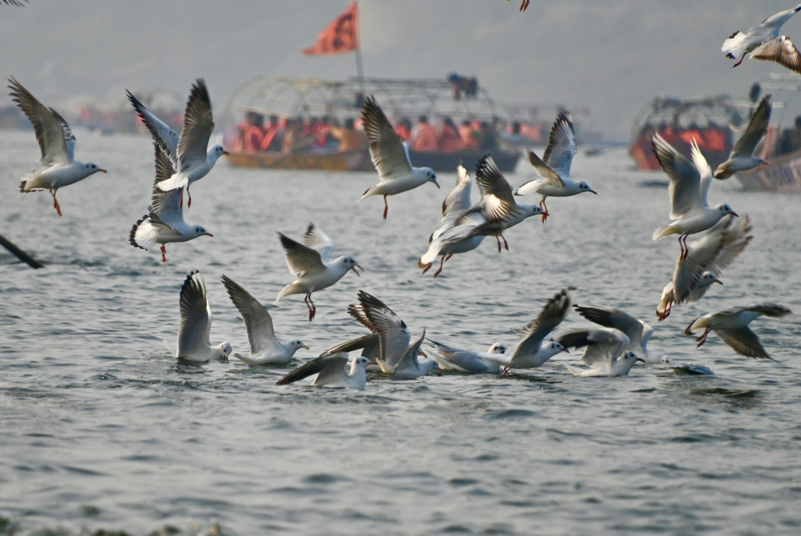 pexels-satyabrata-maiti-258455945-30481503